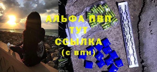 ПСИЛОЦИБИНОВЫЕ ГРИБЫ Заводоуковск