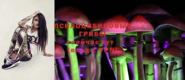 а пвп мука Заволжье