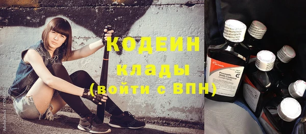 индика Зеленодольск