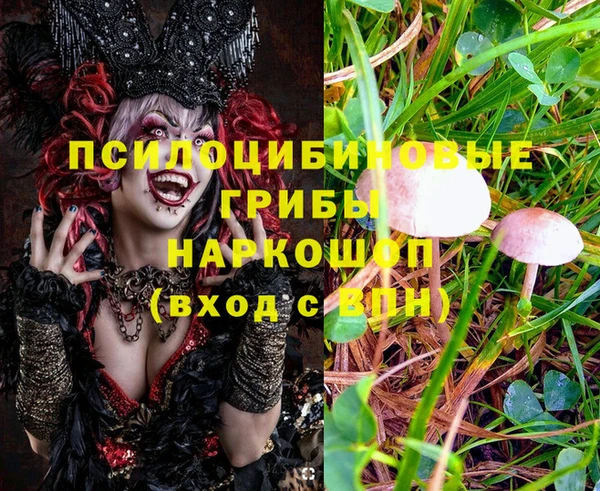 а пвп мука Заволжье