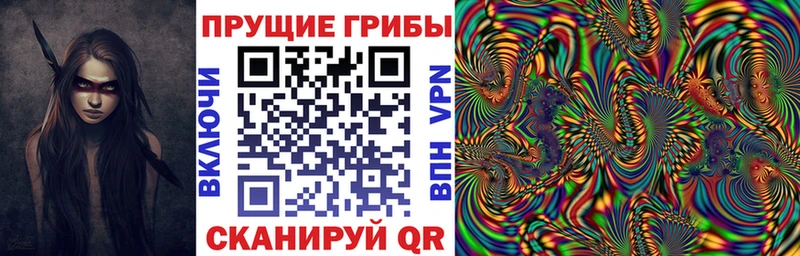 Галлюциногенные грибы Psilocybine cubensis  Купить  Бодайбо 